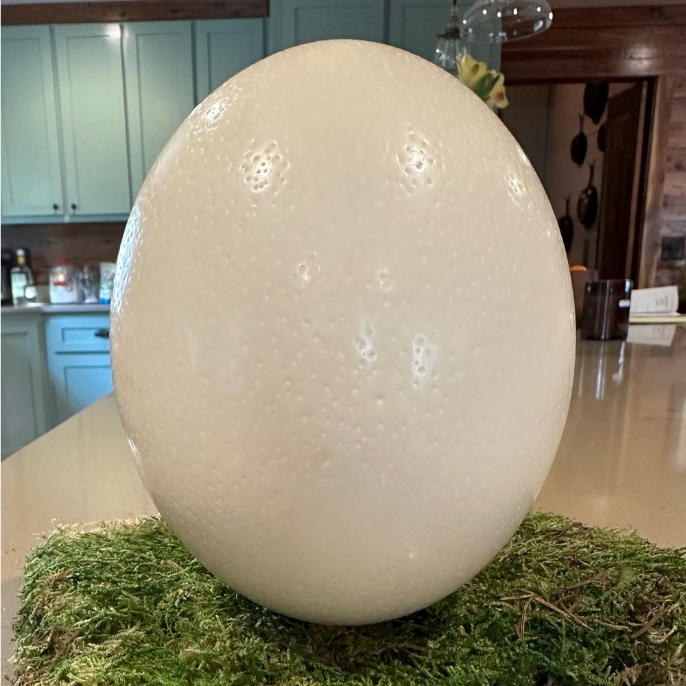 Large White Decorative Ostrich Egg